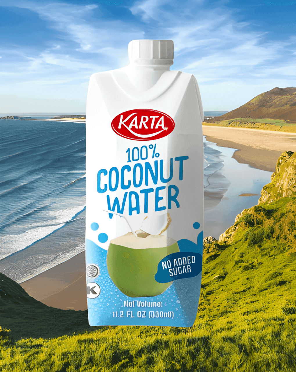 Karta 100% Natural Coconut Water 330ml - 3 Packs - seouloasis.com - Seoul Oasis